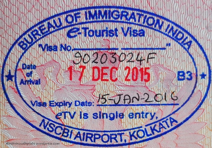 Indian visa. Виза в Индию. E visa в Индию.